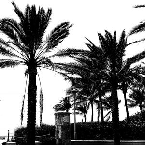 Meet your Posher, Roger